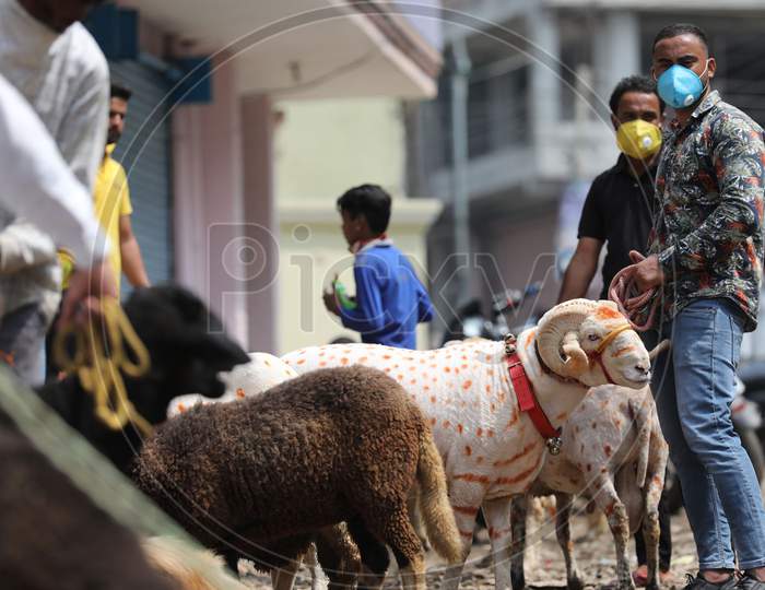 Sheep vendors wait for customers ahead of Eid-al-Adha festival, at a roadside in Jammu on July 31, 2020