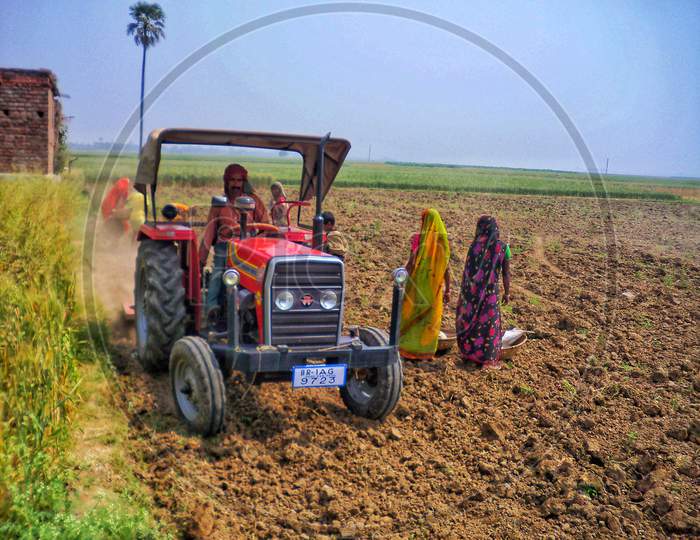 Tractor helping Laborers to collect left over Potato after Harvesting
