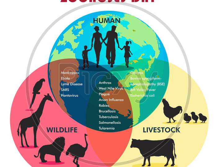 World Zoonoses Day, Zoonotic Diseases Like Ebola Sars, Rabies, Etc., Poster, Illustration Vector