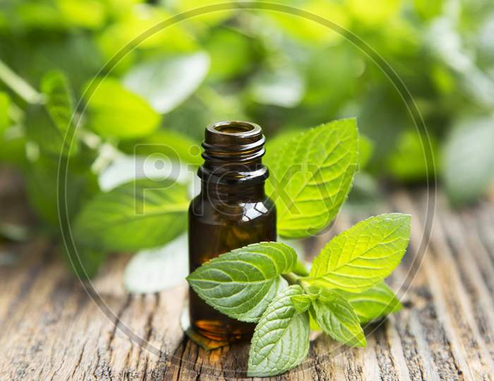 Mint leaves used for digestion problems
