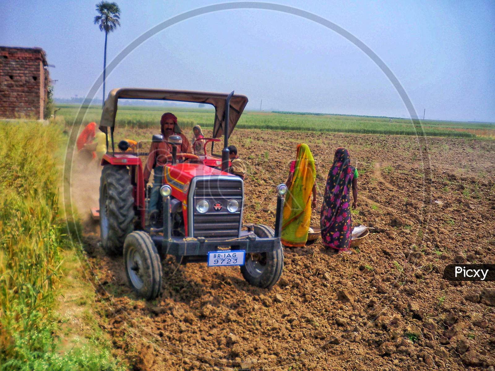 Tractor helping Laborers to collect left over Potato after Harvesting