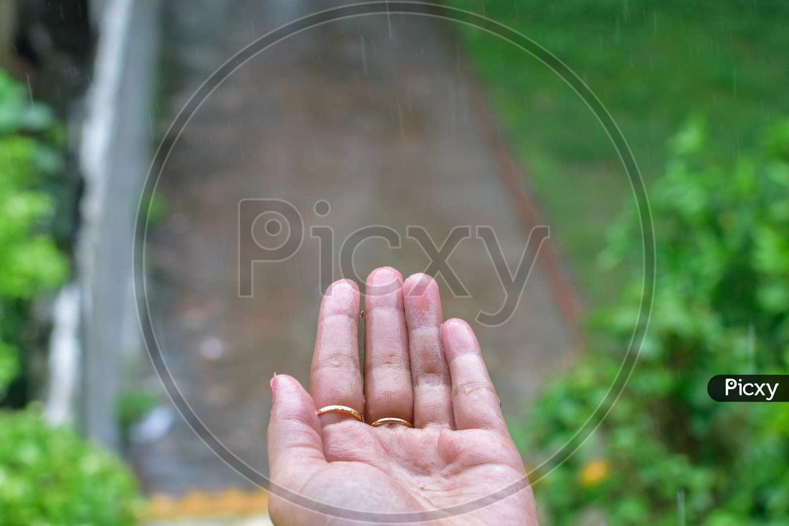 Isolated Wet Human Hand With Rain Drops Falling On It