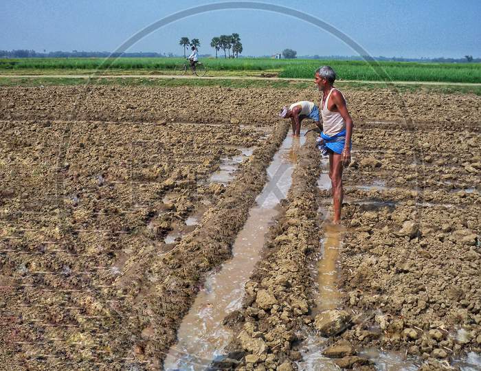 Farm workers involved in irrigating agricultural land
