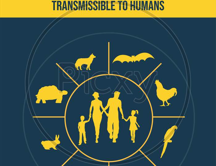 World Zoonoses Day, Zoonotic Diseases Transmissible From Animals To Humans Infographics, Poster, Illustration Vector
