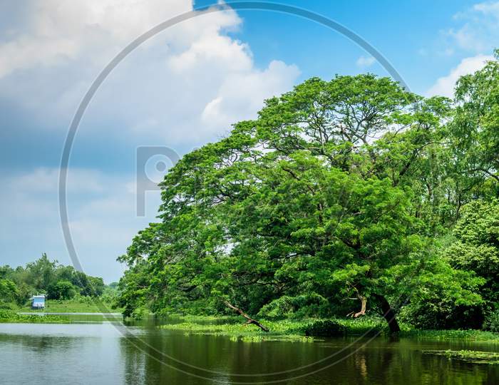 A Landscape Of A River With Transparent Water Flowing Through A Village With A Tree By Its Side. Blue Sky Above With Its Reflection On The Water