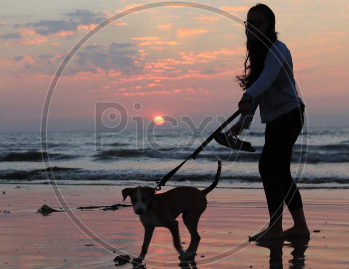 girl with her dog on beach sunset