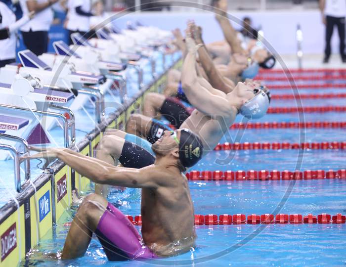 Swimming World cups in Qatar