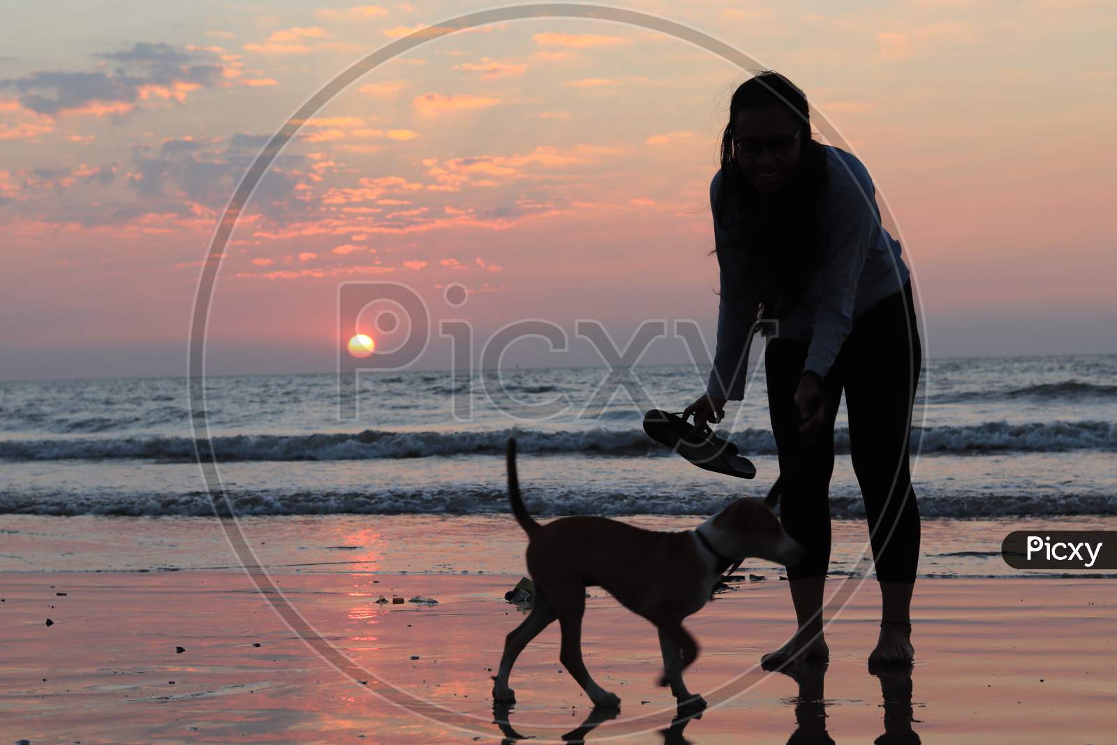 girl with her dog on beach sunset