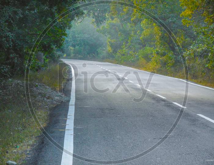 Empty curve road in the forest