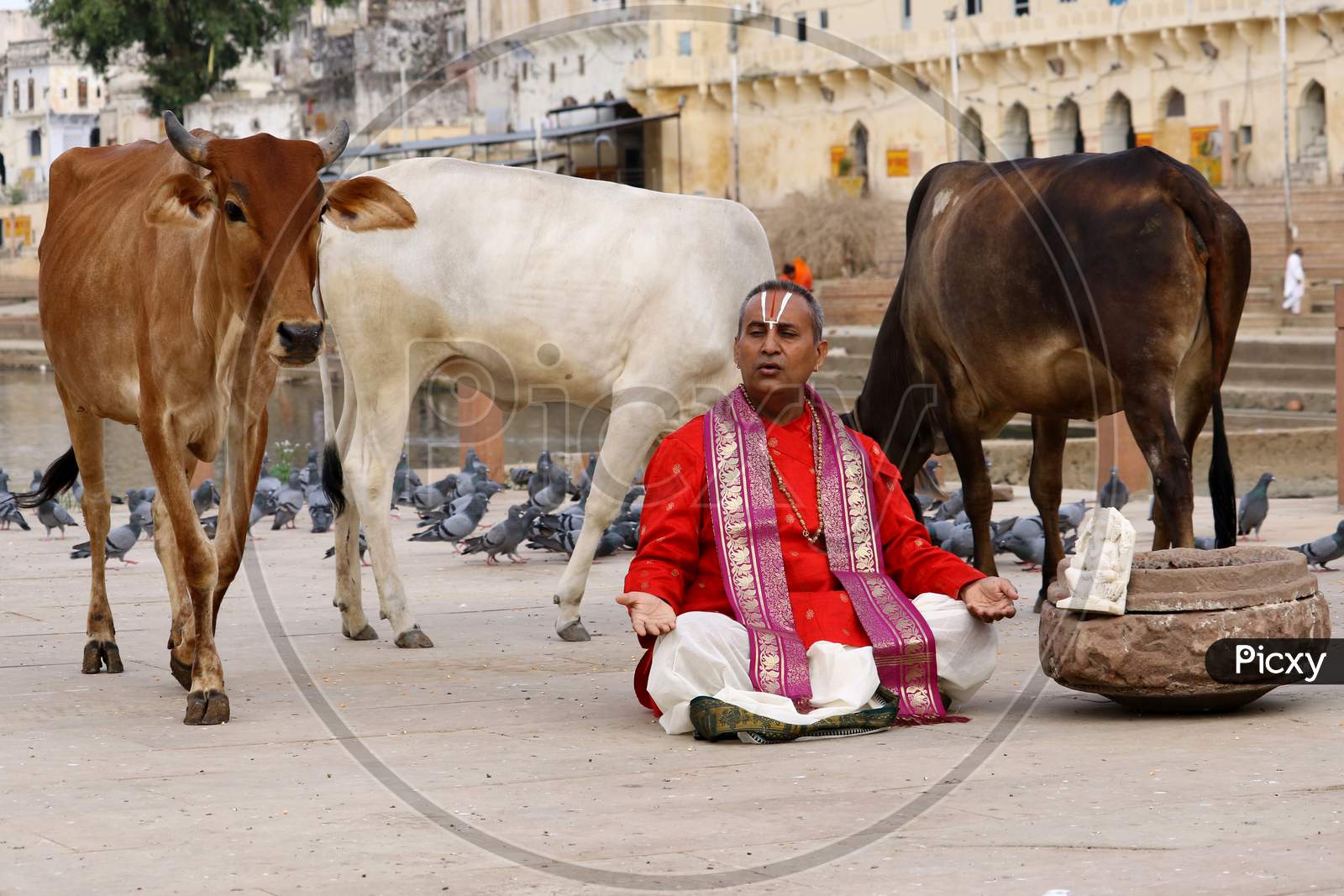 Hindu priest offer prayers on the occasion of "Guru Purunima" on the shores of the Holy Lake of Pushkar, Rajasthan on July 05, 2020