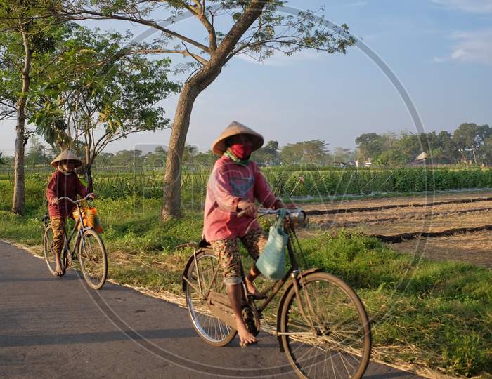 Farmers ride antique bicycles on village roads