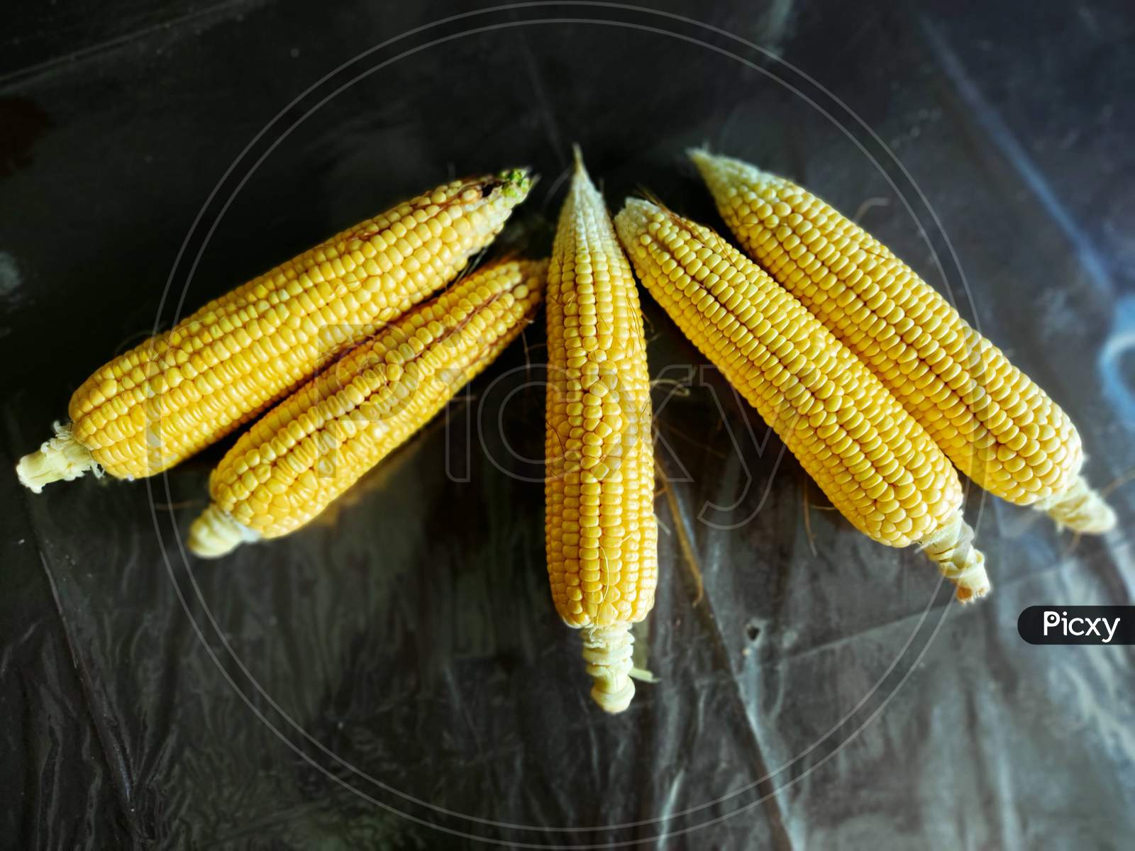 Corn on the cob I peela bhutta I