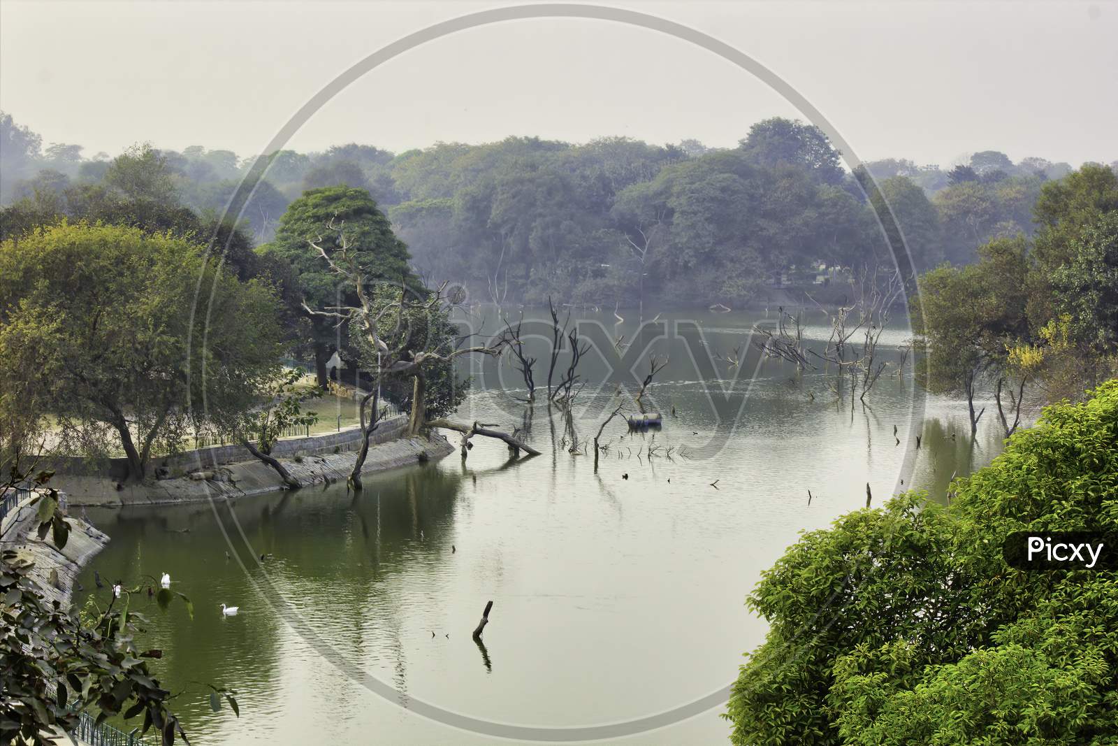 A Nature Scenic View Of A Lake In A Park Located In Hauz Khas , South Delhi - India