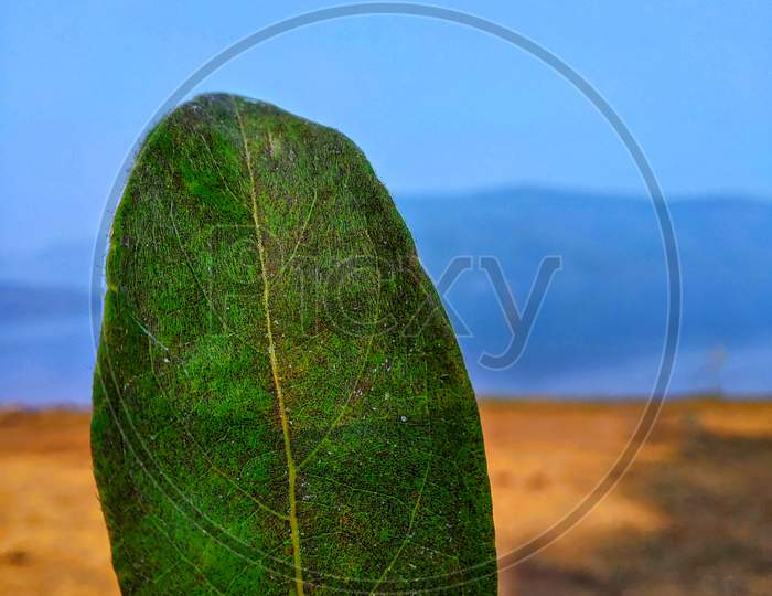 Green Textured Leaf With A River And Mountains At Background And Blue Sky.