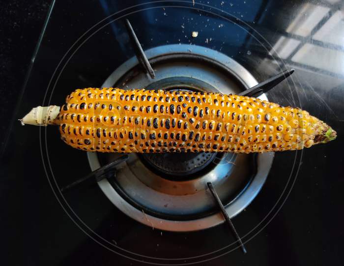 roasted corn I corn being roasted I hot corn
