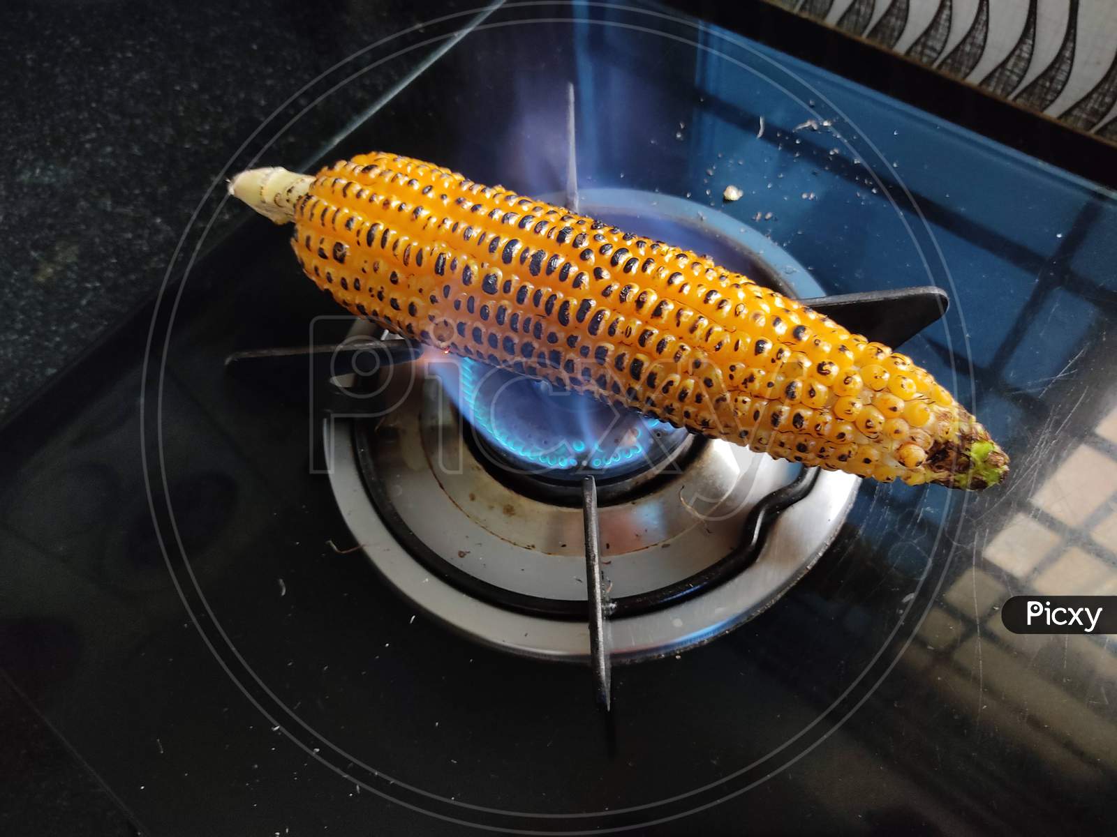 Corn being roasted I Corn roasted using lpg I