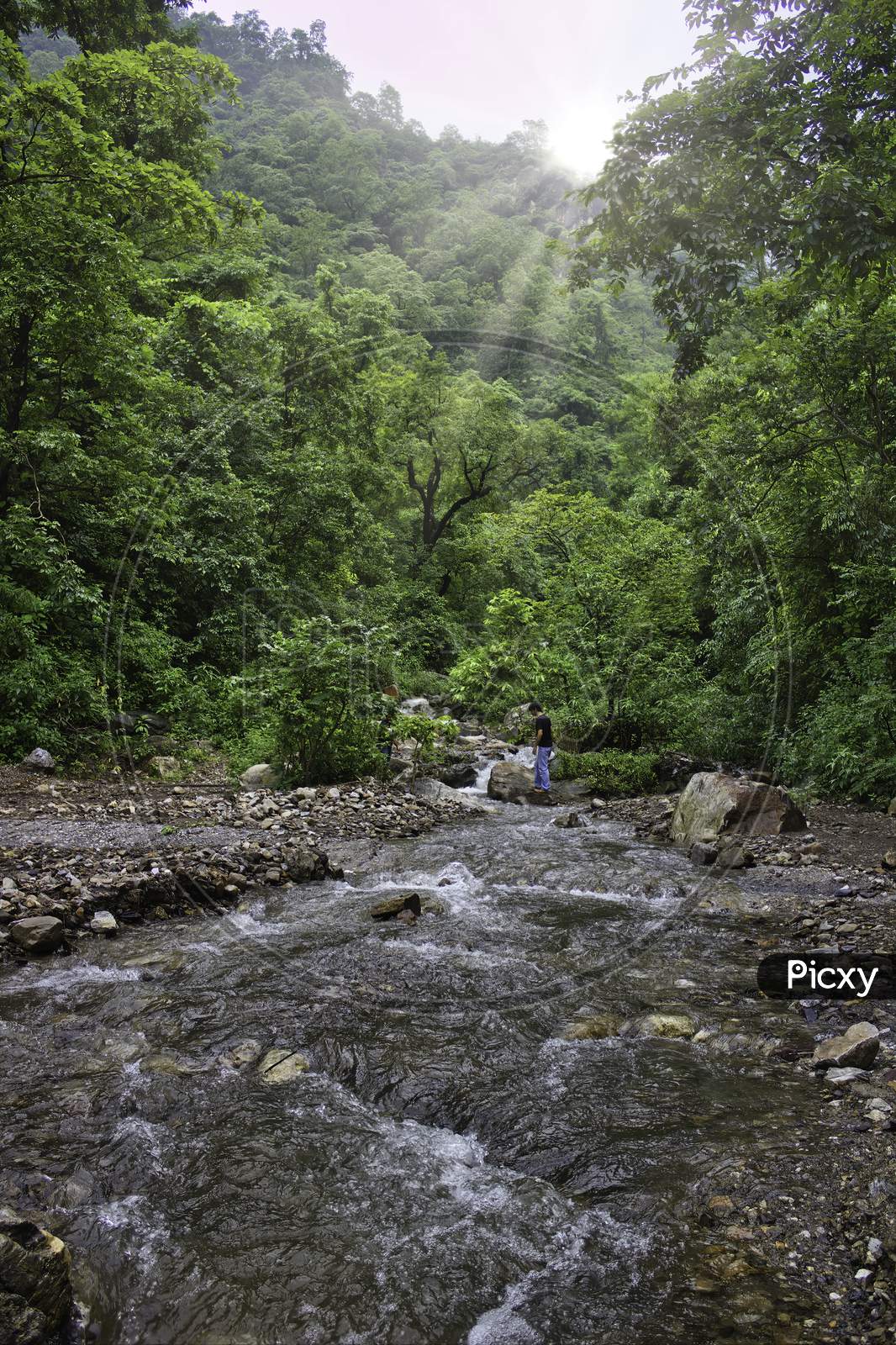 Rishikesh, India - August 18, 2012: A Man Crossing Flowing River In A Forest Hill