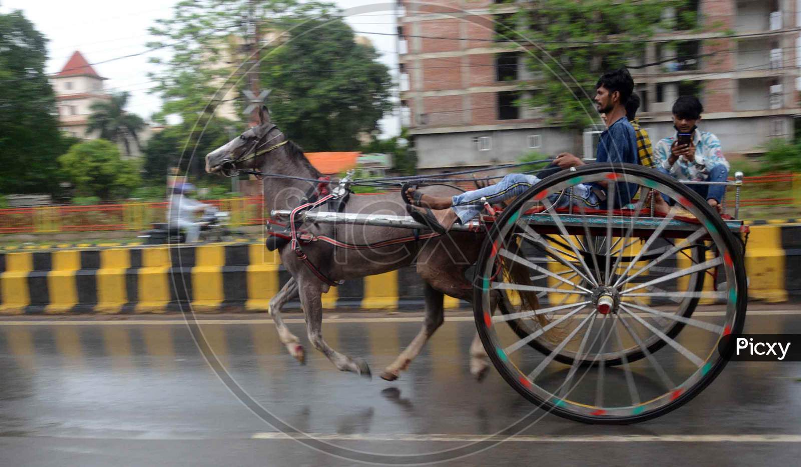 Men participate in an 'Ekka' a horse-drawn cart race on the first Monday of the holy month of Shravan in Prayagraj, Uttar Pradesh on July 06, 2020
