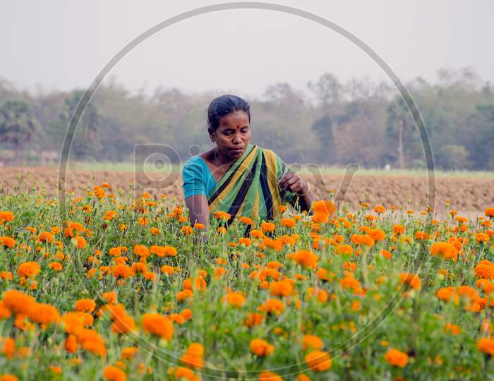 female flower farmer working