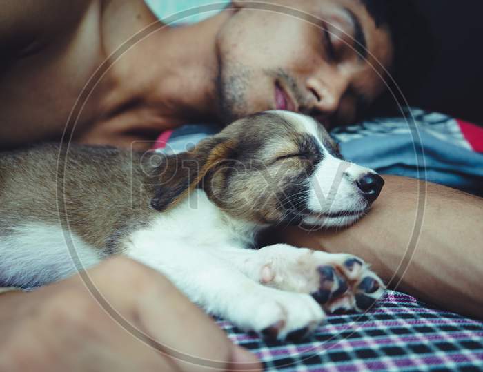 A Cute Little Dog Sleeping With His Owner In His Arms
