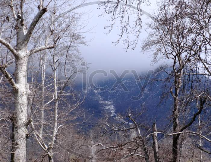 view of snow covered Srinagar during winter season