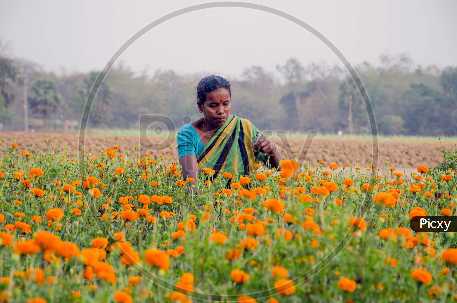 female flower farmer working