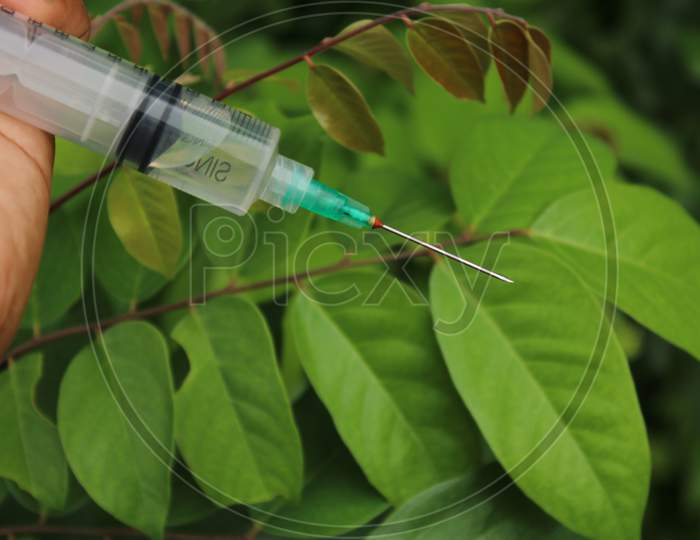 Syringe on hand with natural background photo