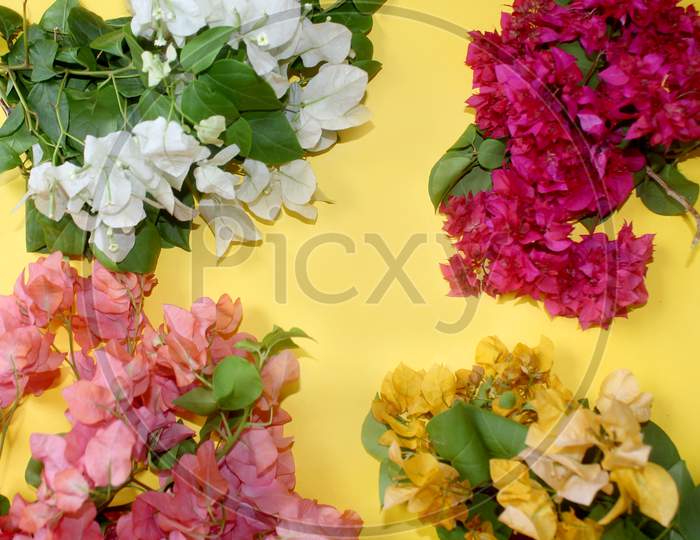 Colorful Flowers Frame Greeting Background