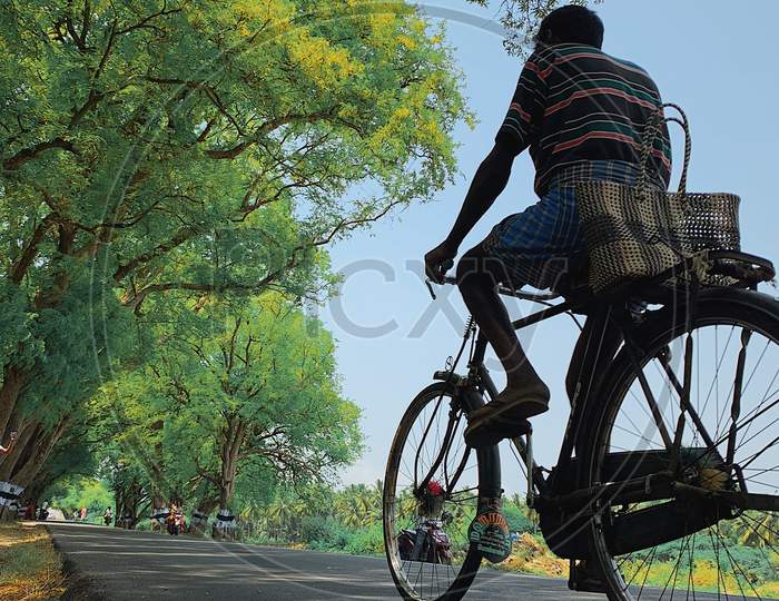 MAN ON CYCLE VILLAGE ROAD POLLACHI