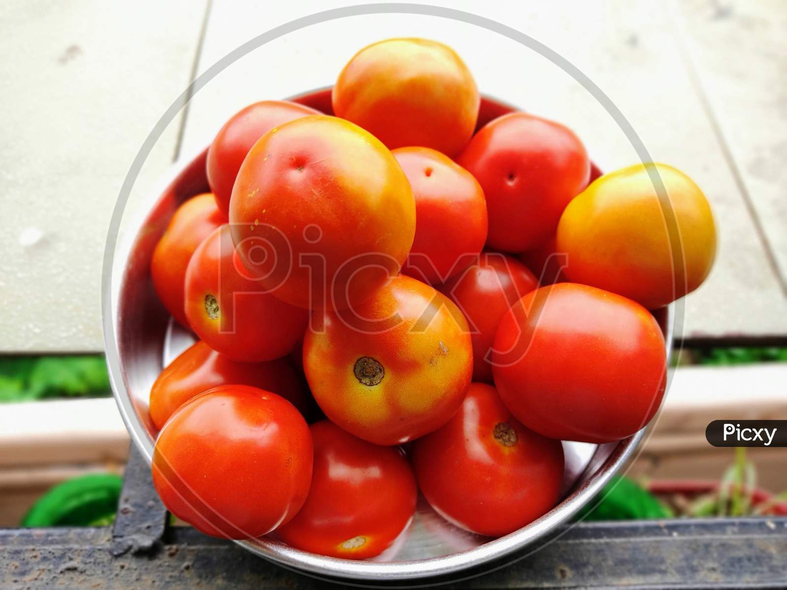 Red Tomato I Tomato in a Bowl I lal tamatar