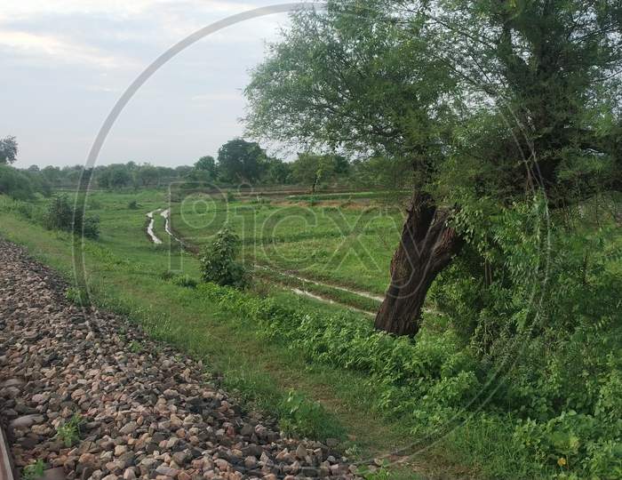 Railway Track In Countryside Forest With Natural Beauty