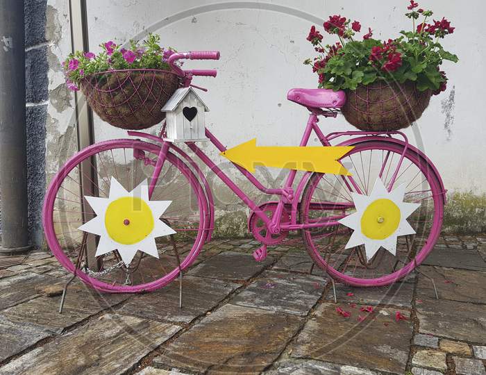 Beautiful Decorative Old Bicycle With Flowers In Pots