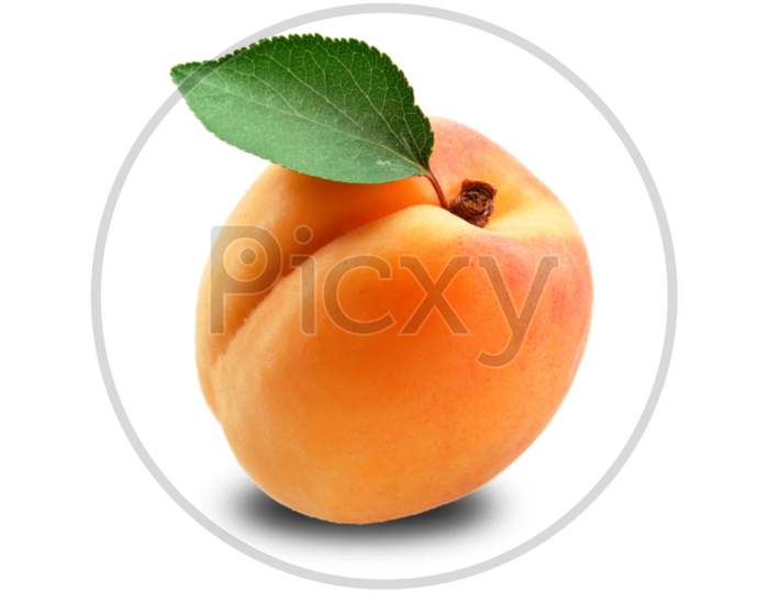 Apricot isolated on white