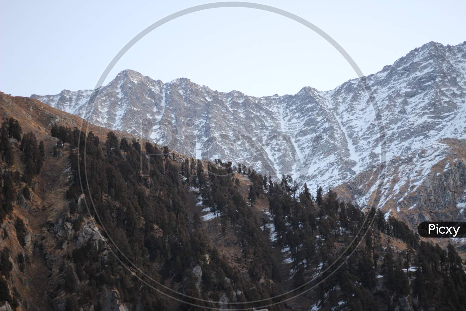 Triund Trek in Himachal Pradesh McLeod Ganj