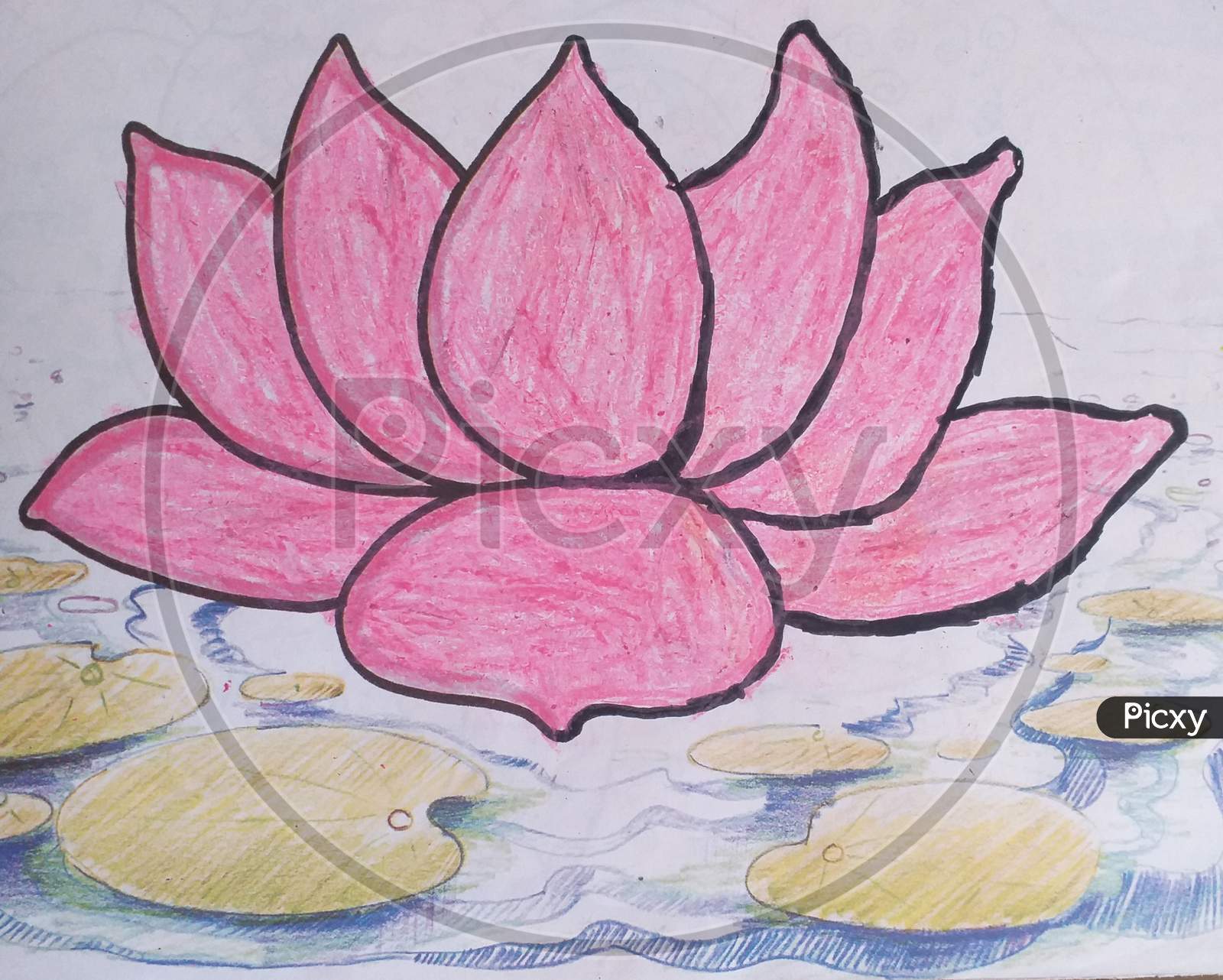 Lotus design rangoli
