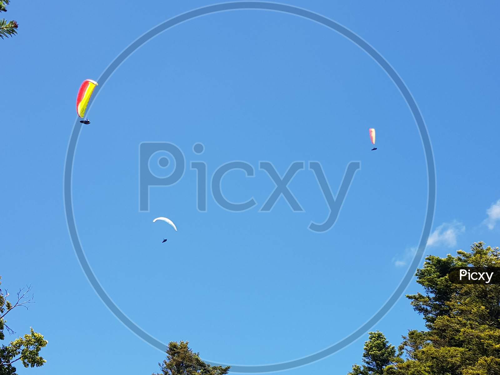 Low Angle Shot Of Parachutists Flying In A Blue Sky