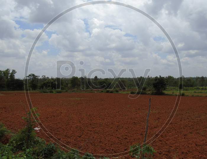 A agriculture field in village