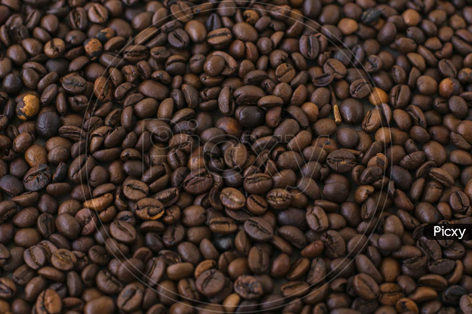 A table full of roasted brown jamaican blue mountain coffee beans.