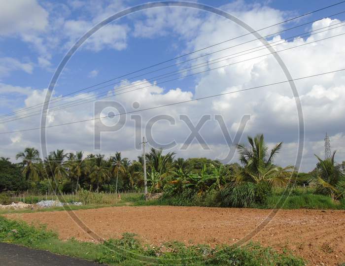 agriculture farm under the cloudy sky  in village