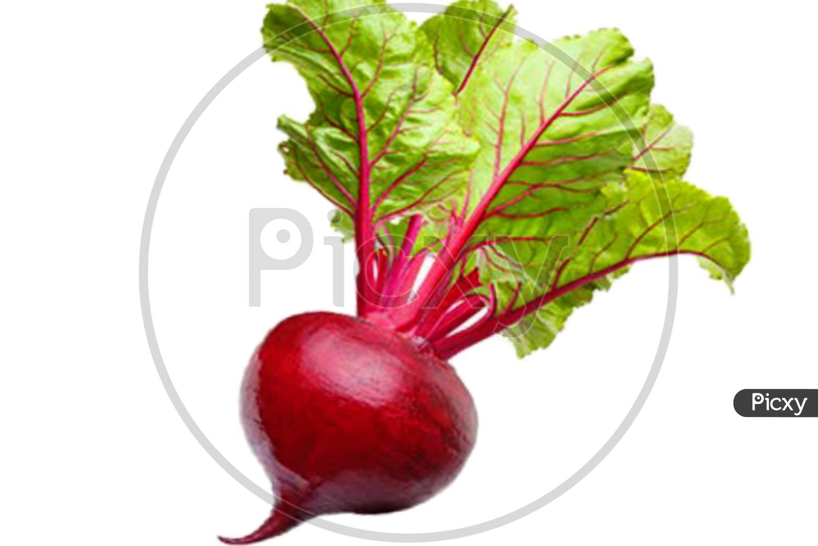 Beets isolated on white