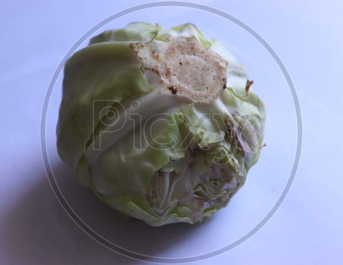 Fresh Cabbage Isolated On White Background