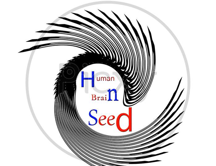 Human Brain Seed Motivational Text And  Brain Shape Subconscious Mind