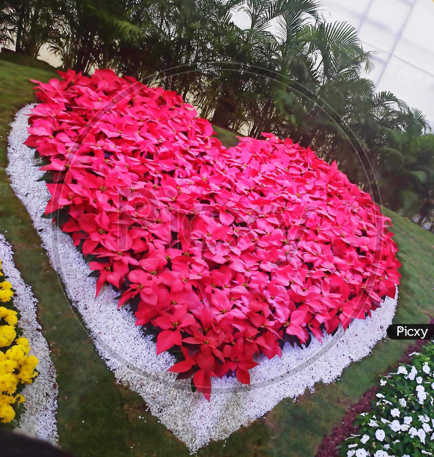Heart shape design made by plant leaves