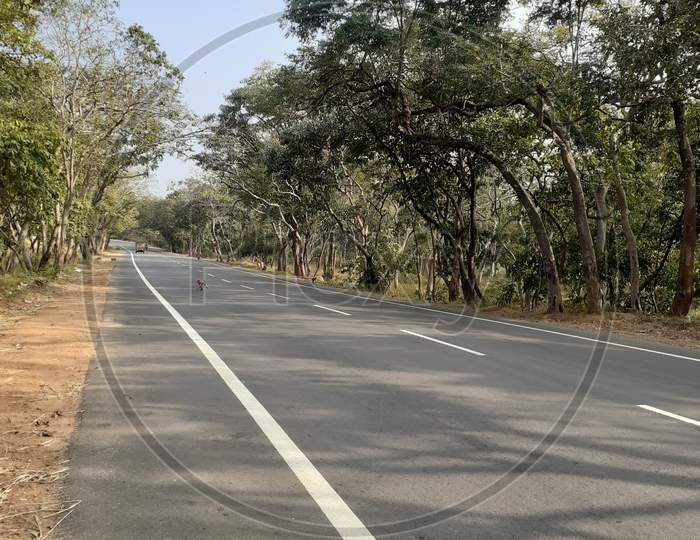 Narsapur Forest Road