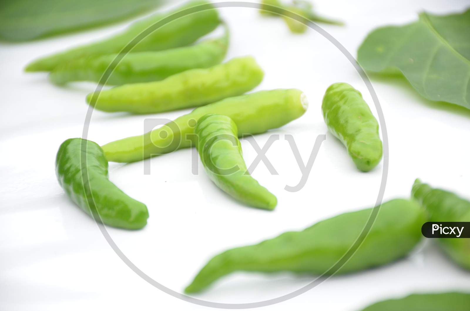 Bunch The Ripe Green Chilly Isolated On White Background