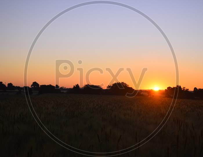 Sunrise, The Redness Of The Sun, The Wheat Fields, The Beautiful View Of The Sunrise