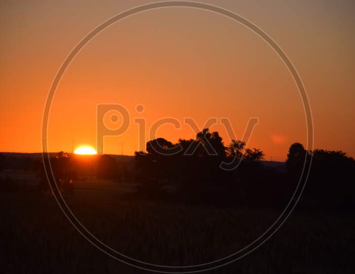 Sunrise, The Redness Of The Sun, The Wheat Fields, The Beautiful View Of The Sunrise