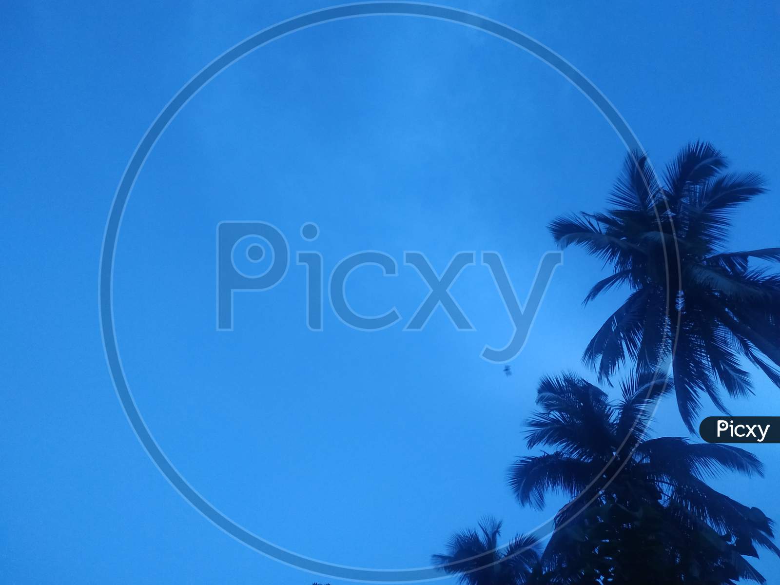 Evening time sky view background
