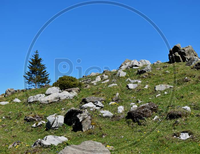 Rural landscape area just below the mount Säntis in Switzerland 7.5.2020