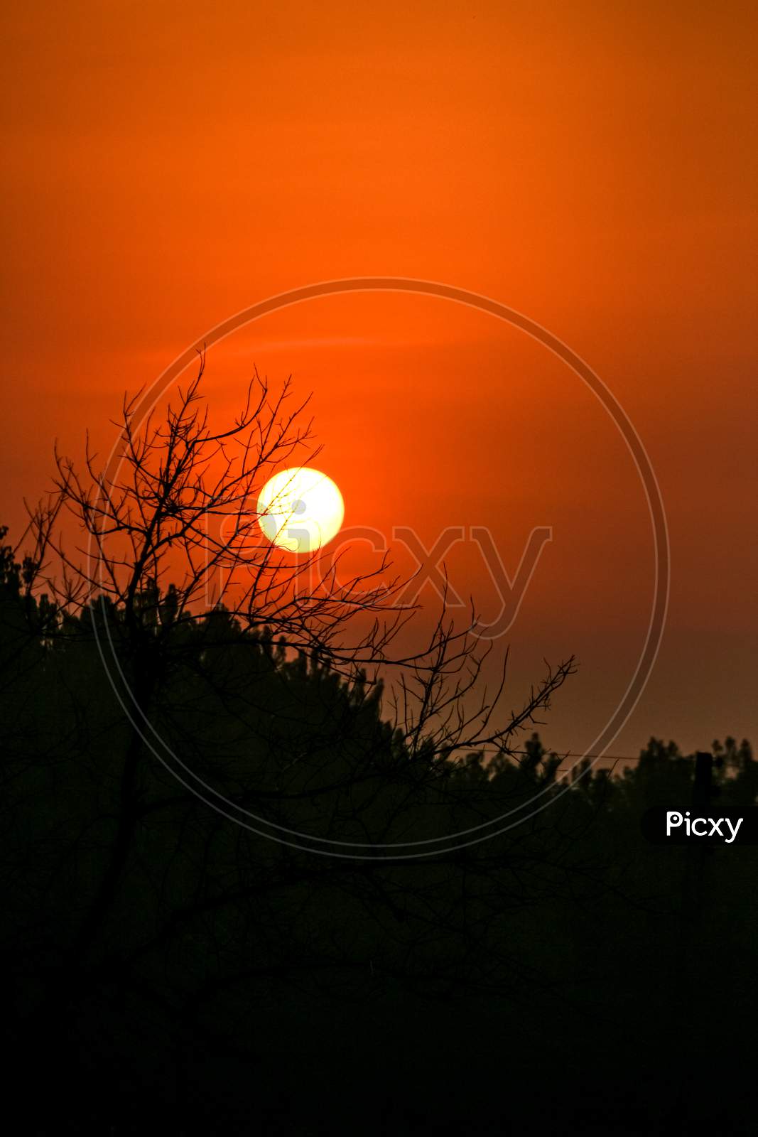 Image of Beautiful sunrise over the trees-TB798985-Picxy